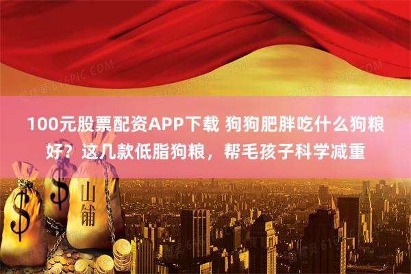 100元股票配资APP下载 狗狗肥胖吃什么狗粮好？这几款低脂狗粮，帮毛孩子科学减重