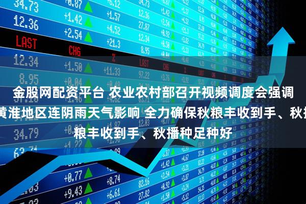 金股网配资平台 农业农村部召开视频调度会强调 有效应对黄淮地区连阴雨天气影响 全力确保秋粮丰收到手、秋播种足种好