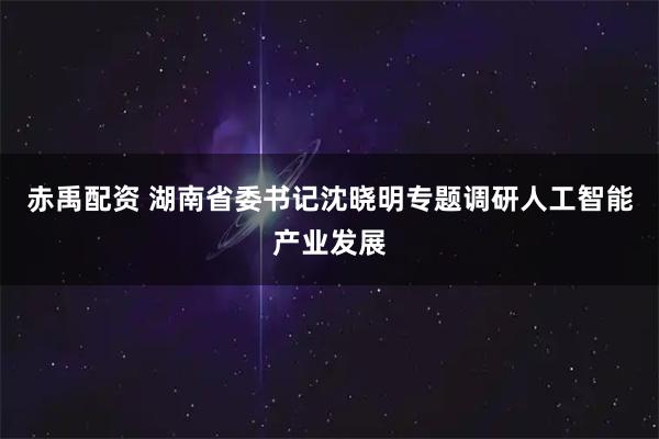 赤禹配资 湖南省委书记沈晓明专题调研人工智能产业发展